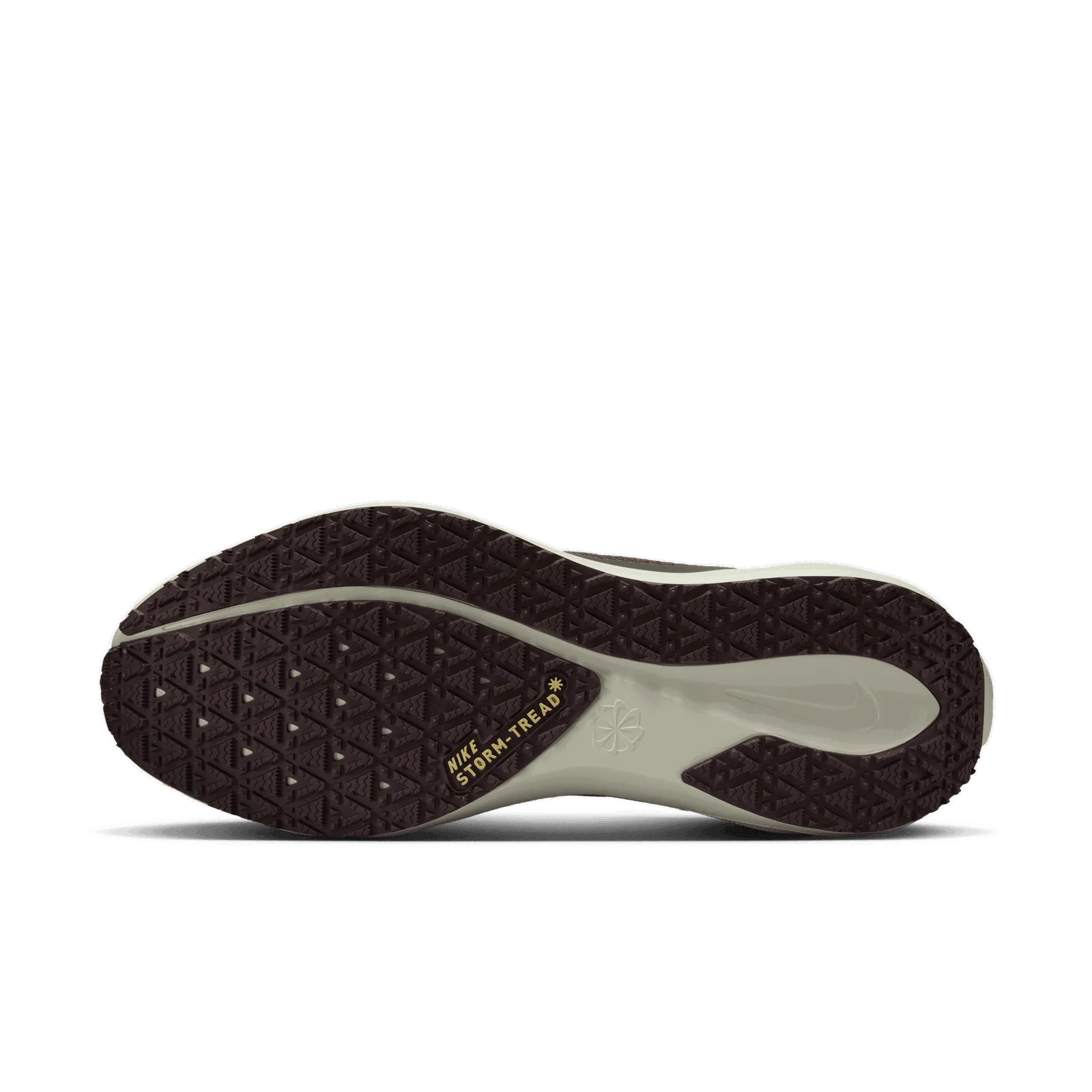 NIKE PEGASUS 41 GORETEX